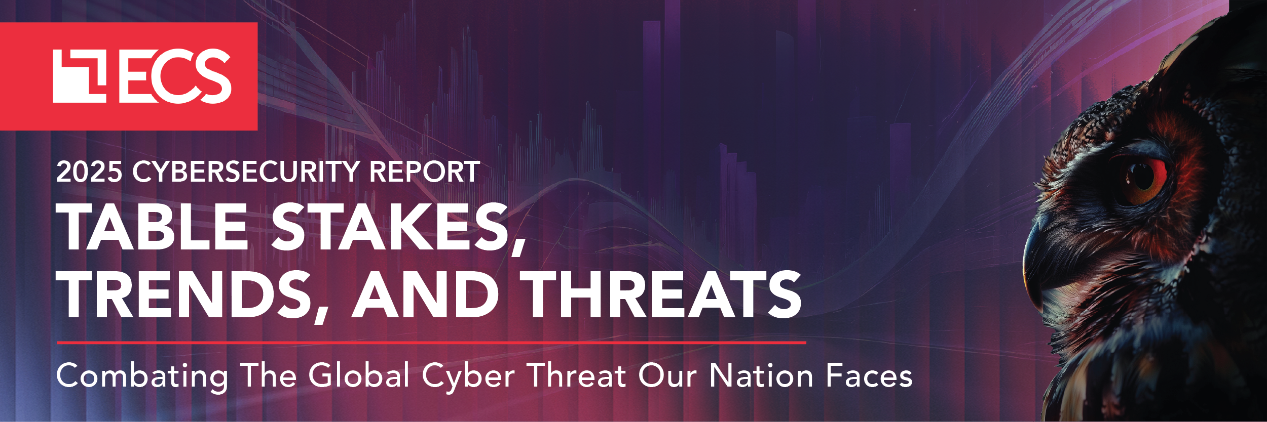 2025 Cyber Report